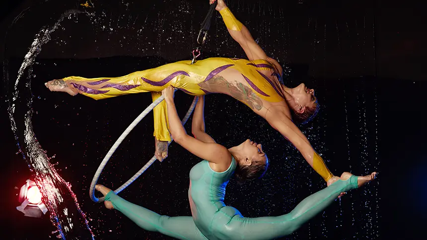 Circus Shows in Dubai