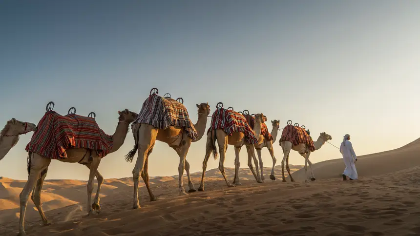 Trade Routes and Caravan Trails Emirates