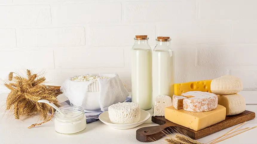 Traditional UAE Dairy Products