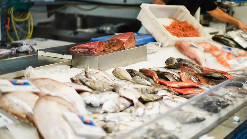 Fisheries and Marine-Related Businesses